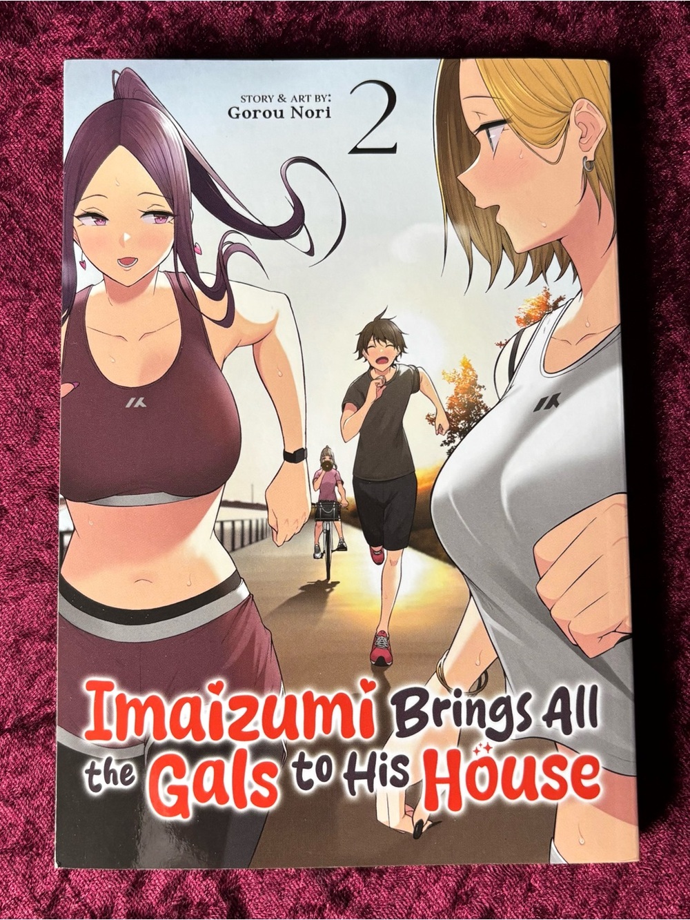 Imaizumi Brings All the Gals to His House Vol. 2 - Manga